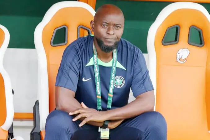 Finidi George 1 2026 WCQ: Finidi Must Ensure Continuity In Super Eagles –Agu