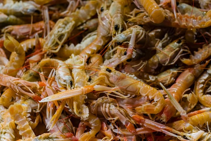 Fresh shrimps, sold in Mercato del Pesce al Minuto, the fish...